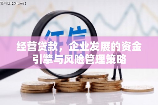 四川经营贷款，企业发展的资金引擎与风险管理策略
