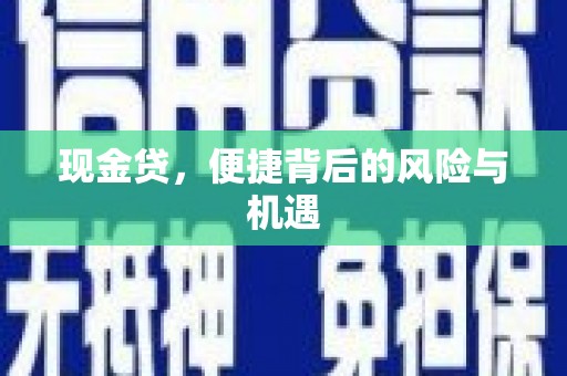 鹿港现金贷，便捷背后的风险与机遇