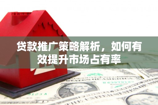 水里贷款推广策略解析，如何有效提升市场占有率