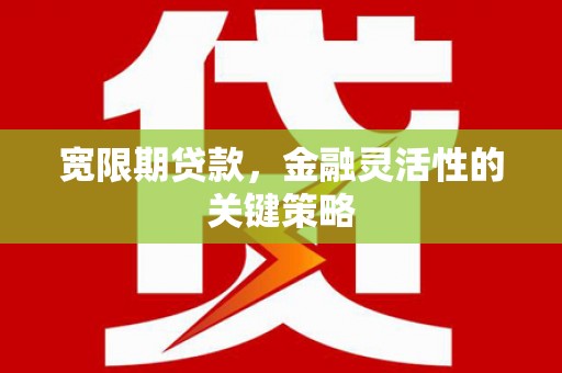 郸城宽限期贷款，金融灵活性的关键策略