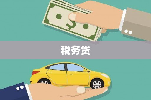 保税港区税务贷