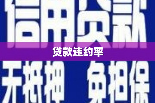 安仁贷款违约率