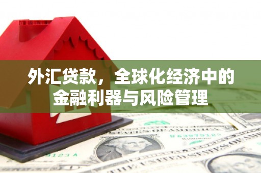 香格里拉外汇贷款，全球化经济中的金融利器与风险管理