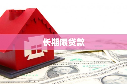 环江长期限贷款
