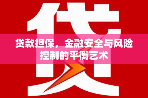 海南贷款担保，金融安全与风险控制的平衡艺术