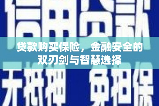 张湾贷款购买保险，金融安全的双刃剑与智慧选择