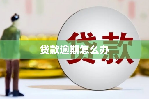 中寮贷款逾期怎么办