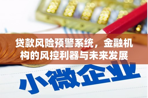 颍州贷款风险预警系统，金融机构的风控利器与未来发展