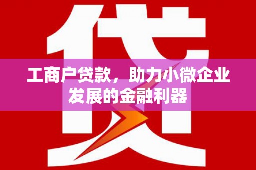 东西湖工商户贷款，助力小微企业发展的金融利器
