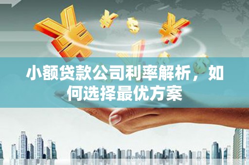 沁县小额贷款公司利率解析，如何选择最优方案