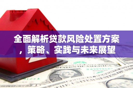 安溪全面解析贷款风险处置方案，策略、实践与未来展望
