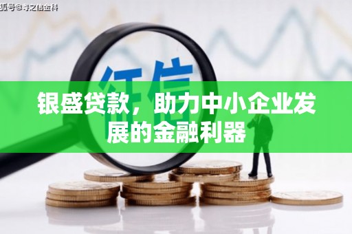 龙江银盛贷款，助力中小企业发展的金融利器