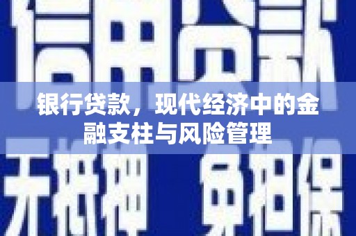 瑞金银行贷款，现代经济中的金融支柱与风险管理