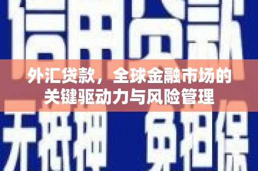 沙湾外汇贷款，全球金融市场的关键驱动力与风险管理