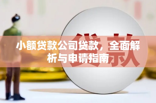 渝中小额贷款公司贷款，全面解析与申请指南