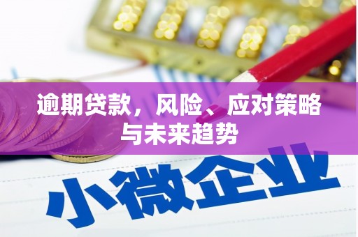 汤原逾期贷款，风险、应对策略与未来趋势