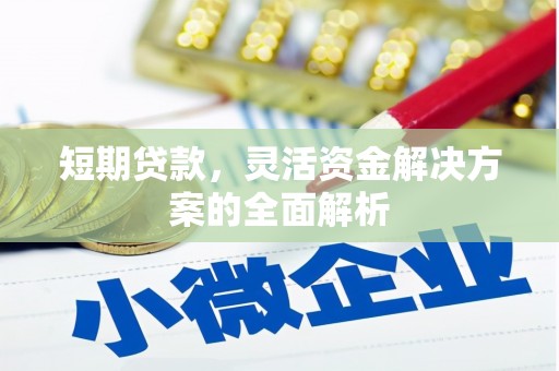 崖州短期贷款，灵活资金解决方案的全面解析