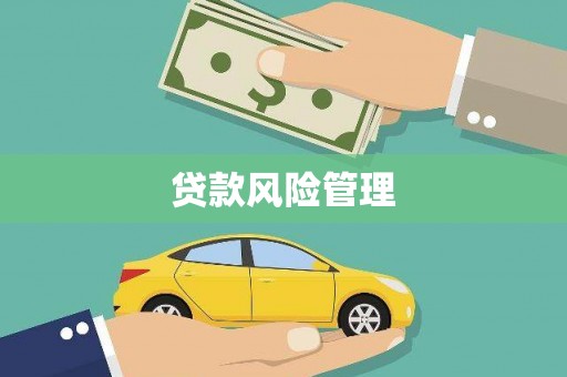 海伦贷款风险管理