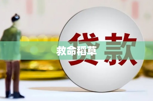 山上救命稻草