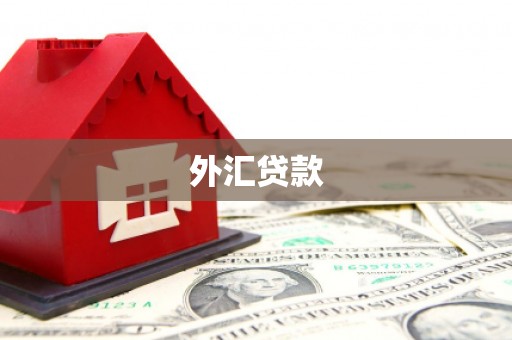 宜君外汇贷款