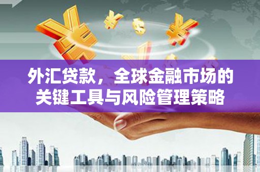 镇赉外汇贷款，全球金融市场的关键工具与风险管理策略