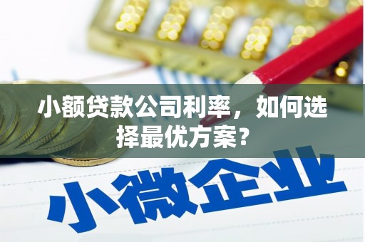琼结小额贷款公司利率，如何选择最优方案？