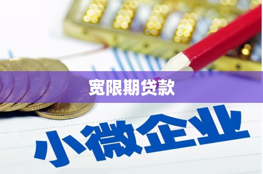 孟村宽限期贷款
