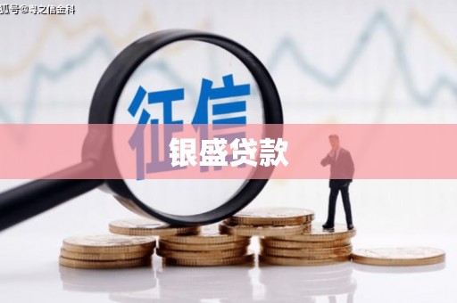 分宜银盛贷款