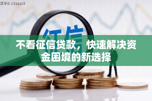 平鲁不看征信贷款，快速解决资金困境的新选择