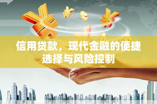 颍泉信用贷款，现代金融的便捷选择与风险控制