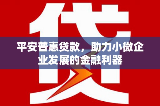 阿巴嘎旗平安普惠贷款，助力小微企业发展的金融利器