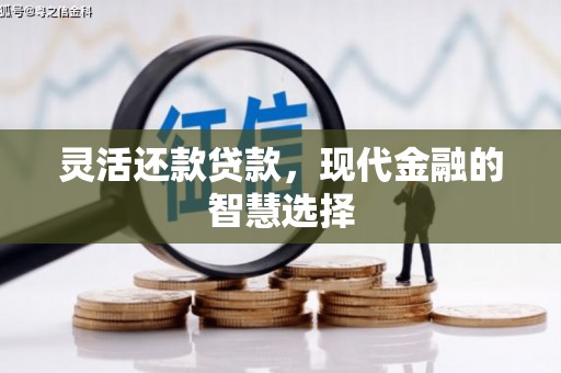 沈丘灵活还款贷款，现代金融的智慧选择