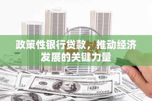 西吉政策性银行贷款，推动经济发展的关键力量