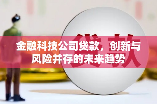 康保金融科技公司贷款，创新与风险并存的未来趋势