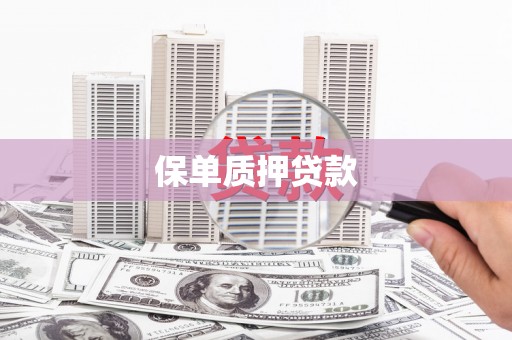 宣化保单质押贷款
