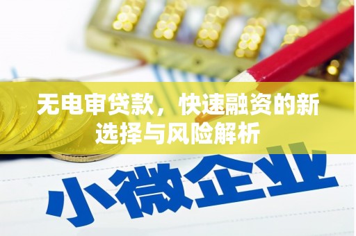 平乐无电审贷款，快速融资的新选择与风险解析