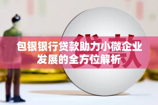 麟洛包银银行贷款助力小微企业发展的全方位解析