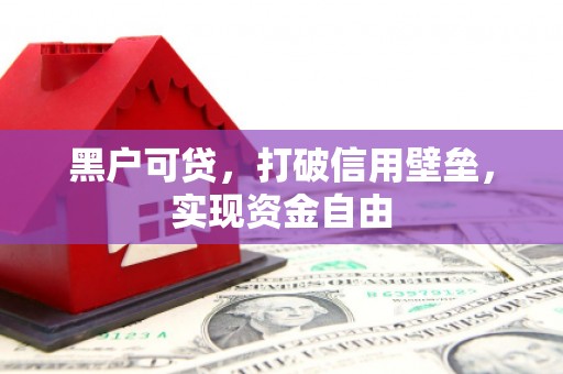 康保黑户可贷，打破信用壁垒，实现资金自由