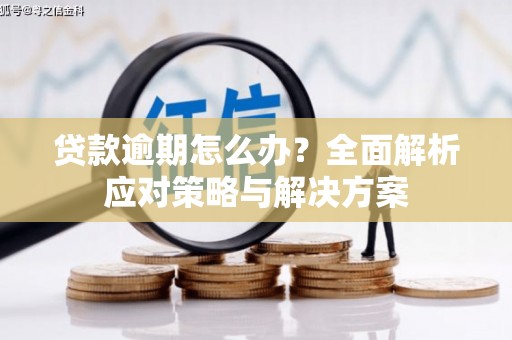 洛阳贷款逾期怎么办？全面解析应对策略与解决方案