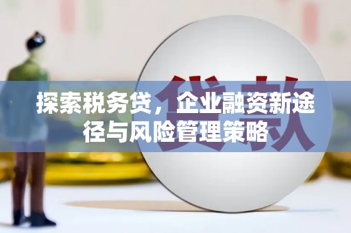 合浦探索税务贷，企业融资新途径与风险管理策略