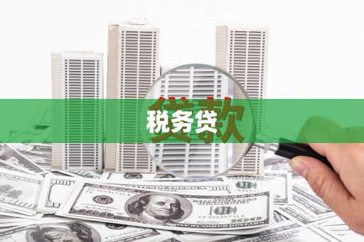 芮城税务贷