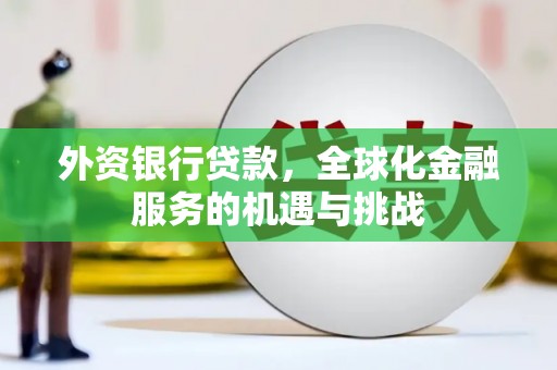 乌什外资银行贷款，全球化金融服务的机遇与挑战