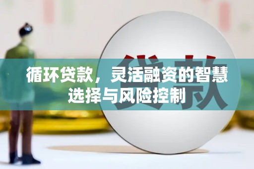 虎尾循环贷款，灵活融资的智慧选择与风险控制