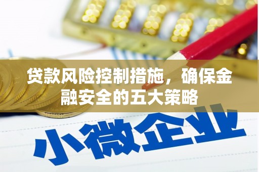 颍上贷款风险控制措施，确保金融安全的五大策略