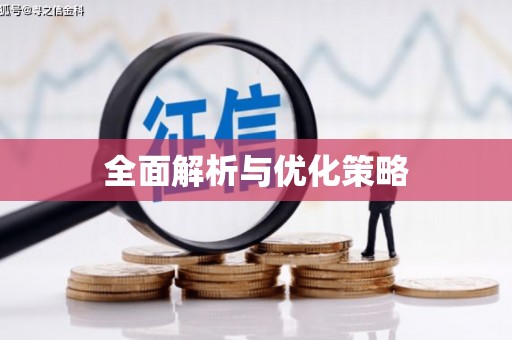稻城全面解析与优化策略