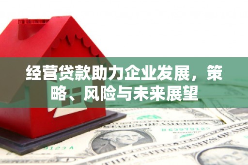 措美经营贷款助力企业发展，策略、风险与未来展望