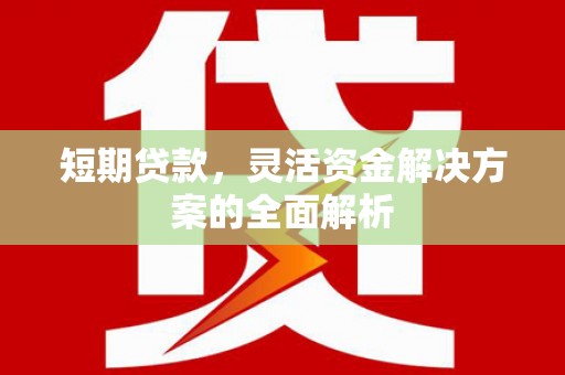 肃北短期贷款，灵活资金解决方案的全面解析