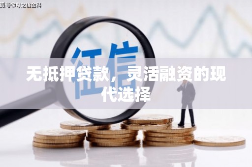 湛江无抵押贷款，灵活融资的现代选择