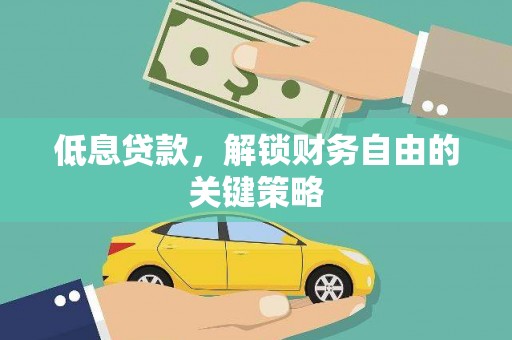 云龙低息贷款，解锁财务自由的关键策略