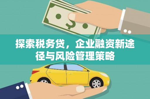 磴口探索税务贷，企业融资新途径与风险管理策略